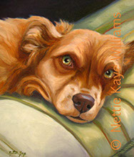 Pet portraiy Oil on canvas 18 x 18 SOLD